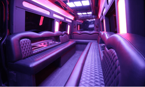 Richardson 14 Passenger Sprinter Bus Interior