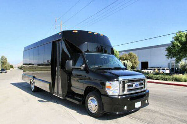 McKinney 15 Passenger Party Bus