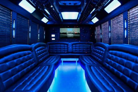 Grand Prairie 36 Passenger Party Bus Interior