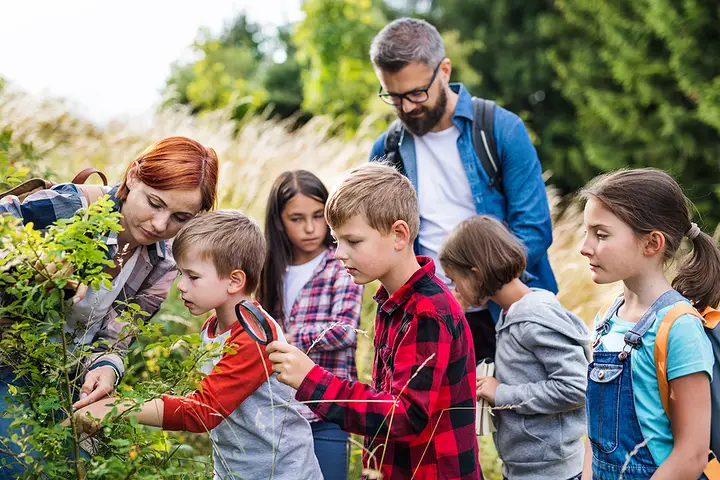 School Field Trip Bus Rentals in Carrollton